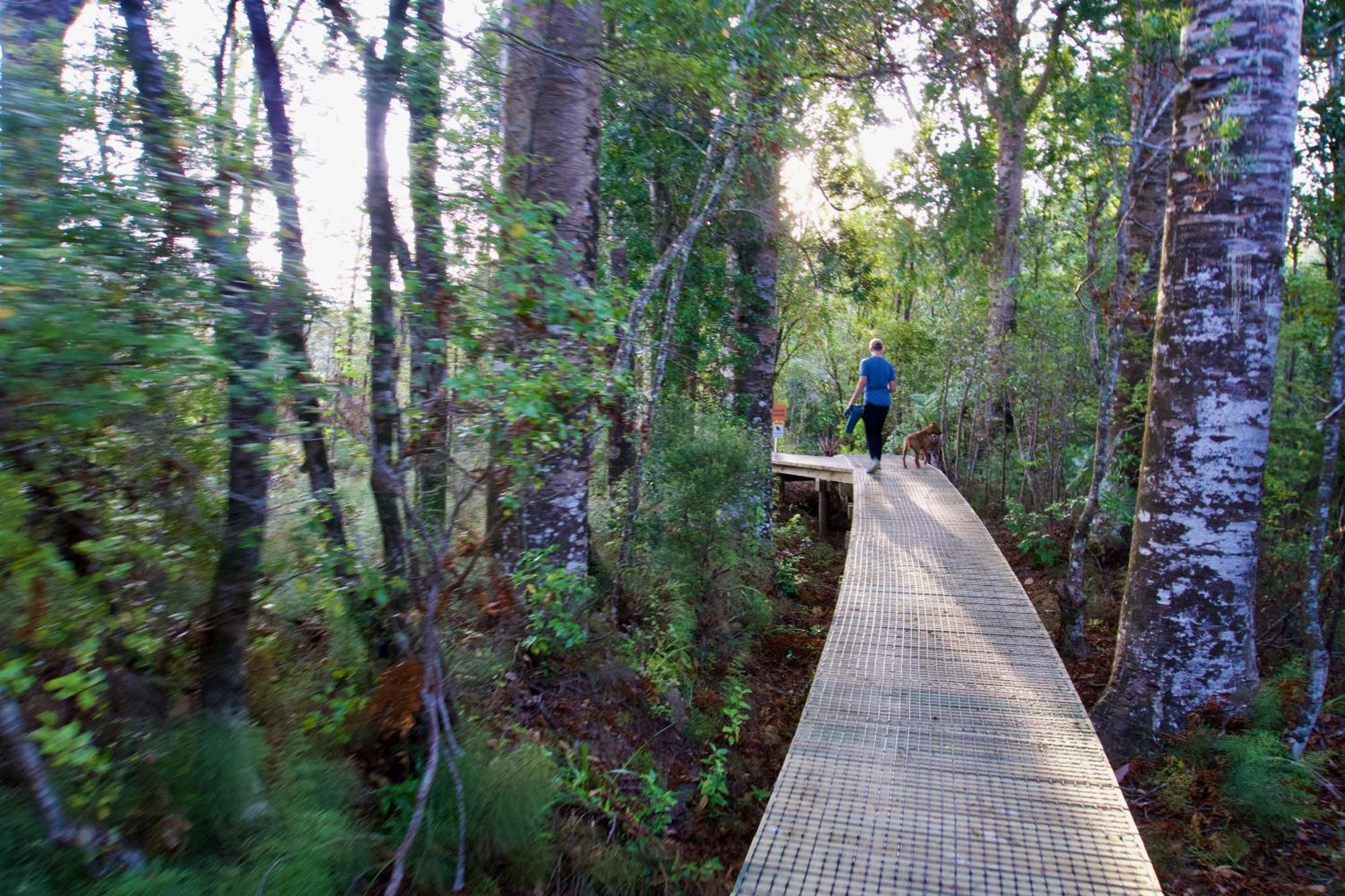 Sapphire Springs Holiday Park And Thermal Pools Katikati Kültér fotó