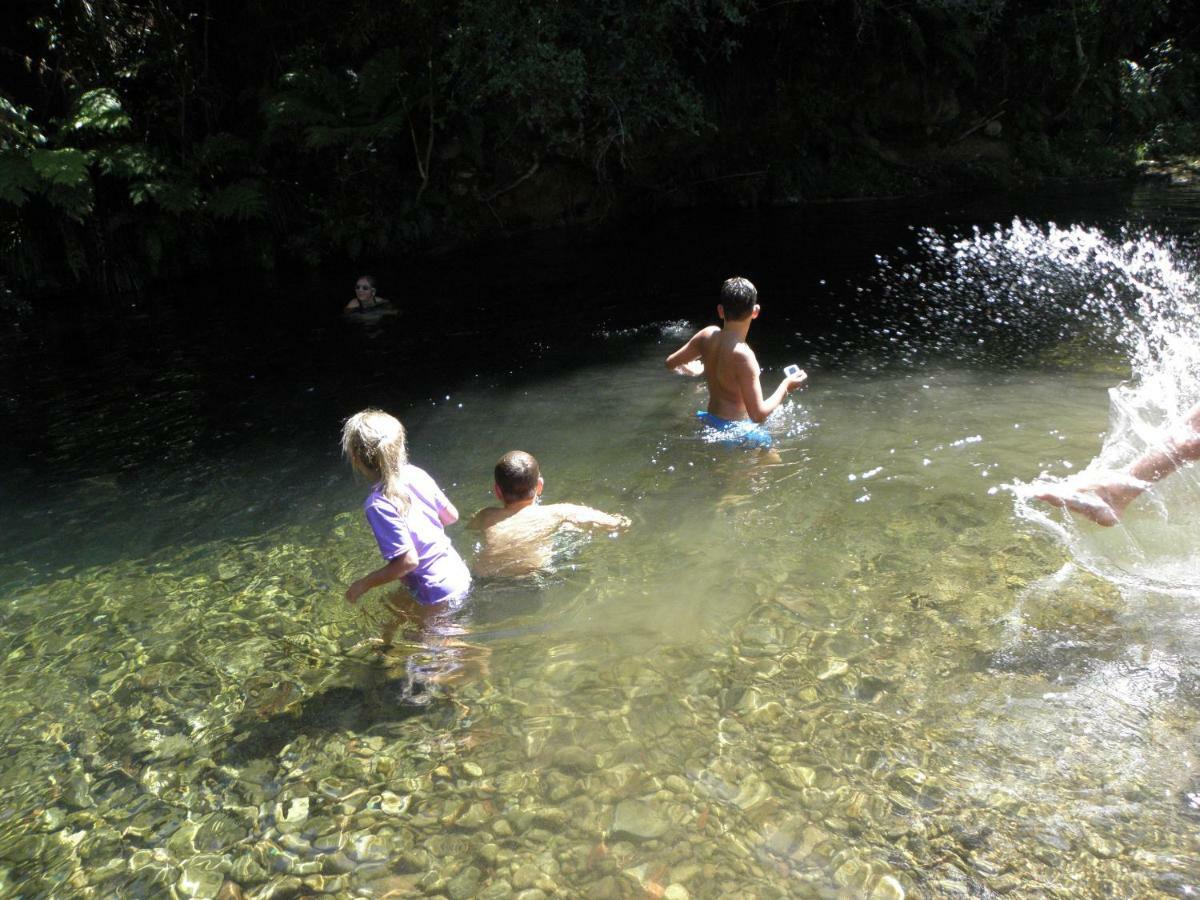 Sapphire Springs Holiday Park And Thermal Pools Katikati Kültér fotó